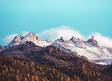 大黄：69说的没毛，出绿甲可能压力大出错，没必要说假赛和人身攻击